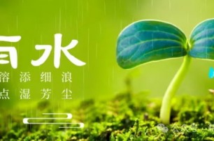 今日雨水
